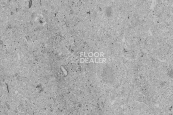 Виниловая плитка ПВХ Vertigo Loose Lay / Stone 8508 WATER LIMESTONE LIGHT GREY 457.2 мм X 457.2 мм фото 1 | FLOORDEALER